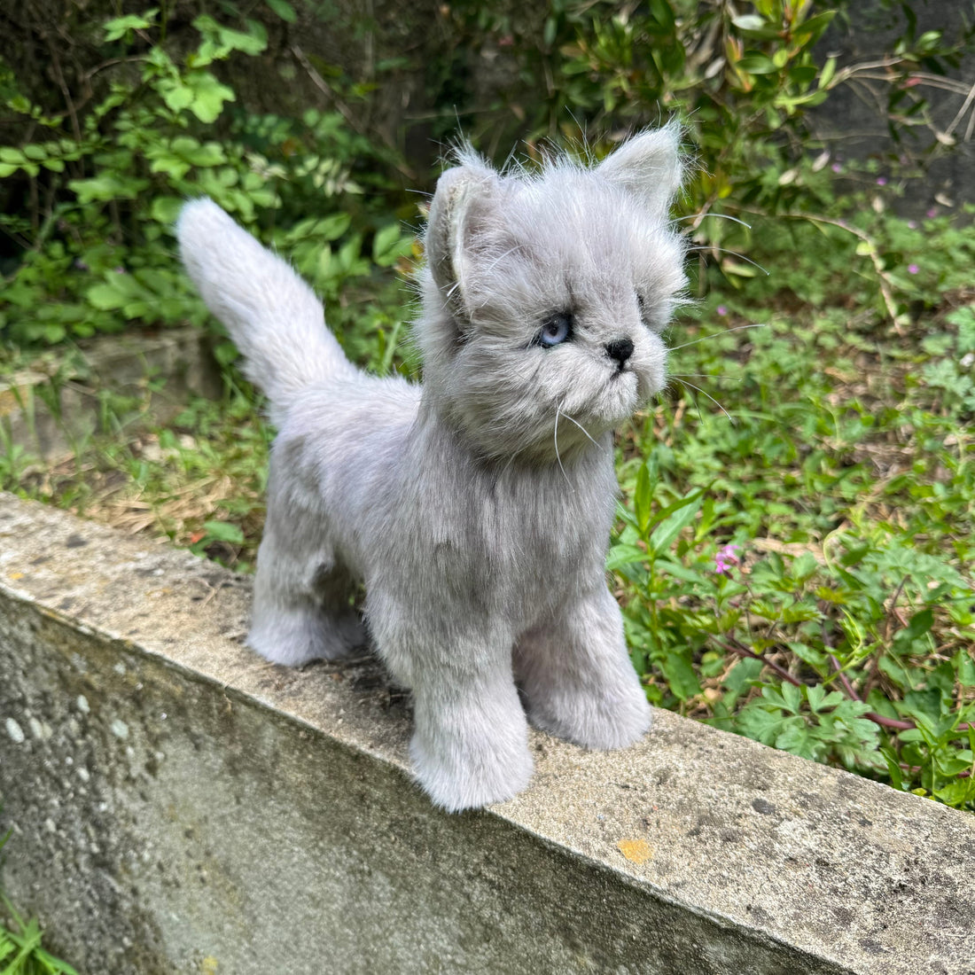 🐱 Silver – Chaton Persan en peluche de collection, fait main et entièrement articulé