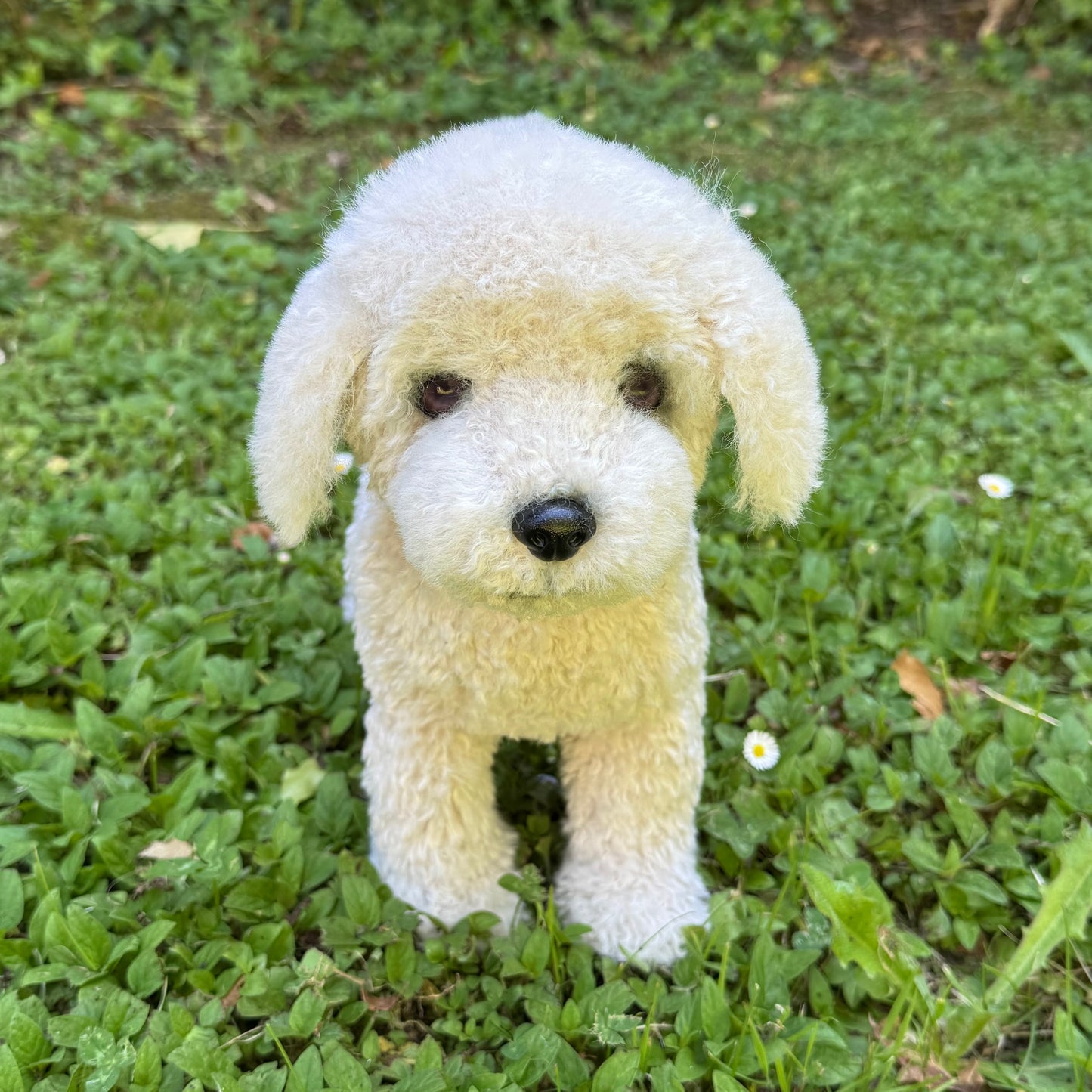 Un chien en peluche réaliste de type bichon frisé, Caline, avec une fourrure détaillée et un regard attendrissant