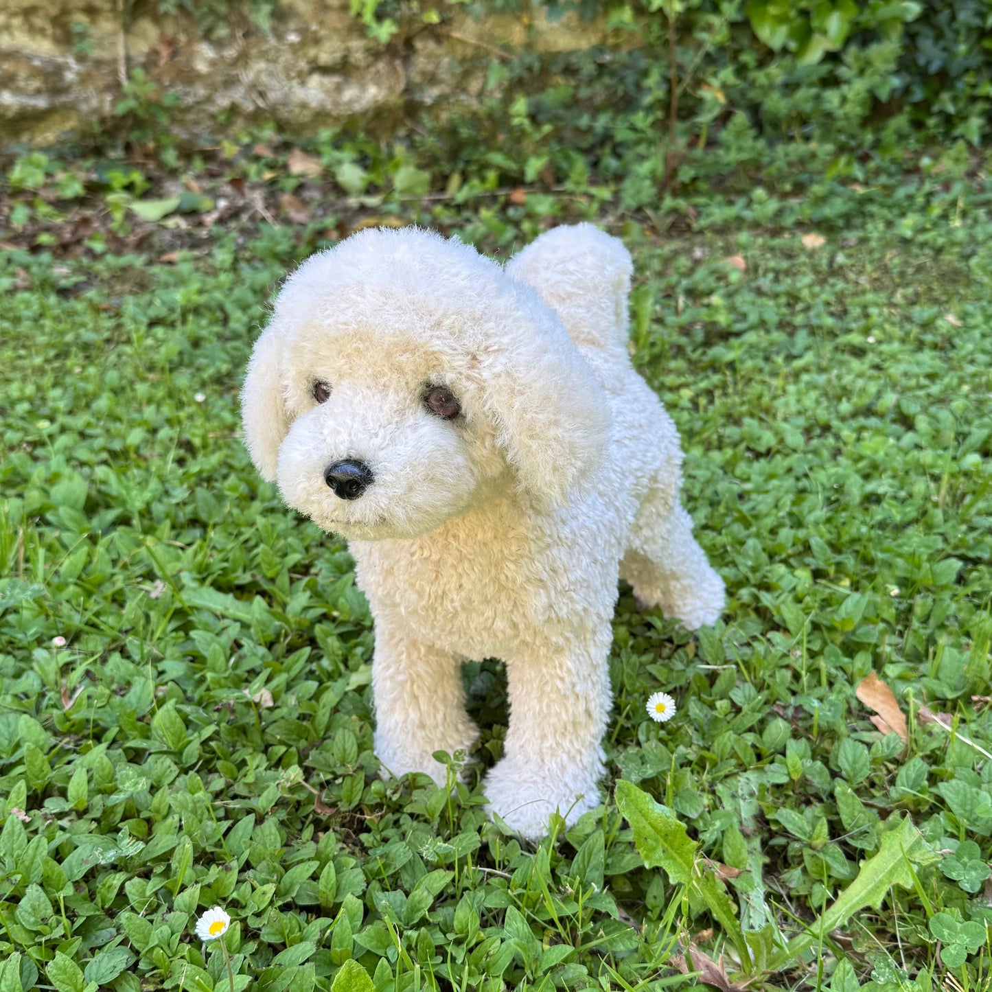 Bichon frisé en peluche, Caline, capturant la tendresse et la beauté de cette race, avec des traits détaillés et une expression douce