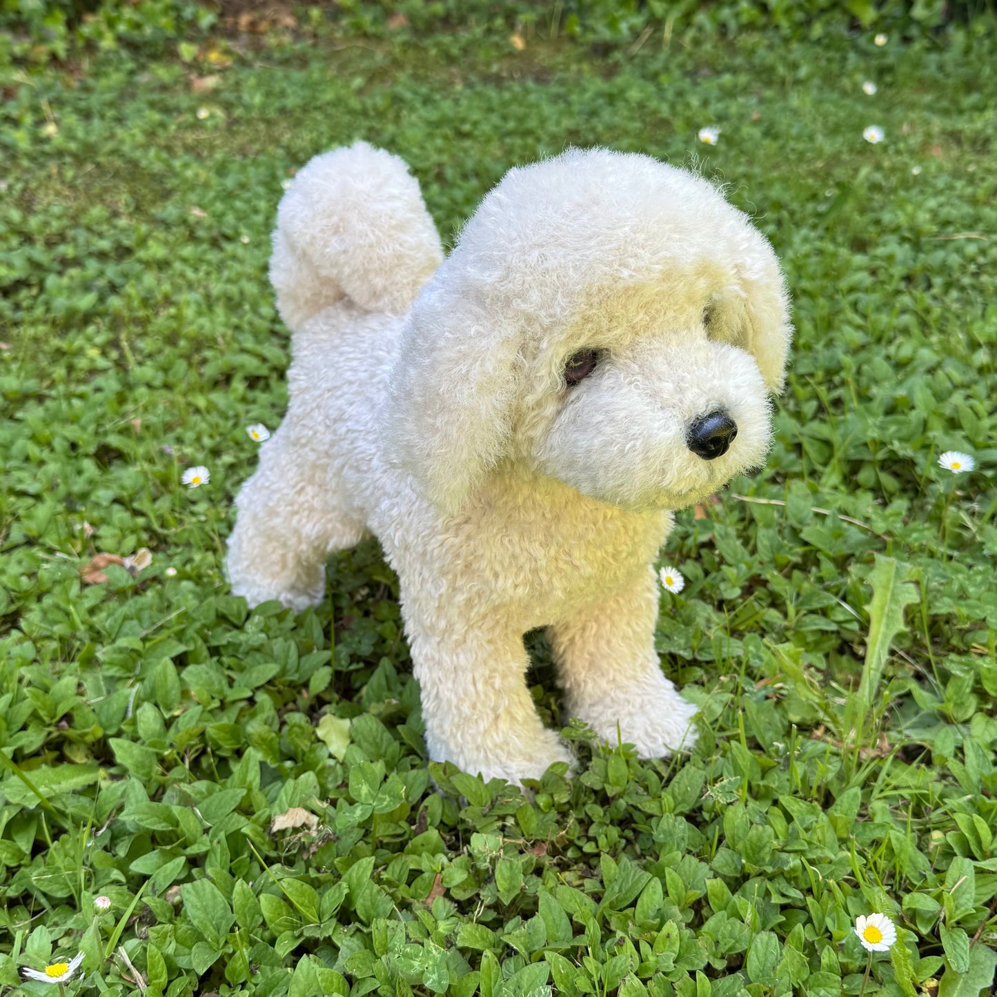 Caline, un bichon frisé en peluche, réalisé avec soin pour ressembler à un véritable chien, avec une fourrure blanche et duveteuse
