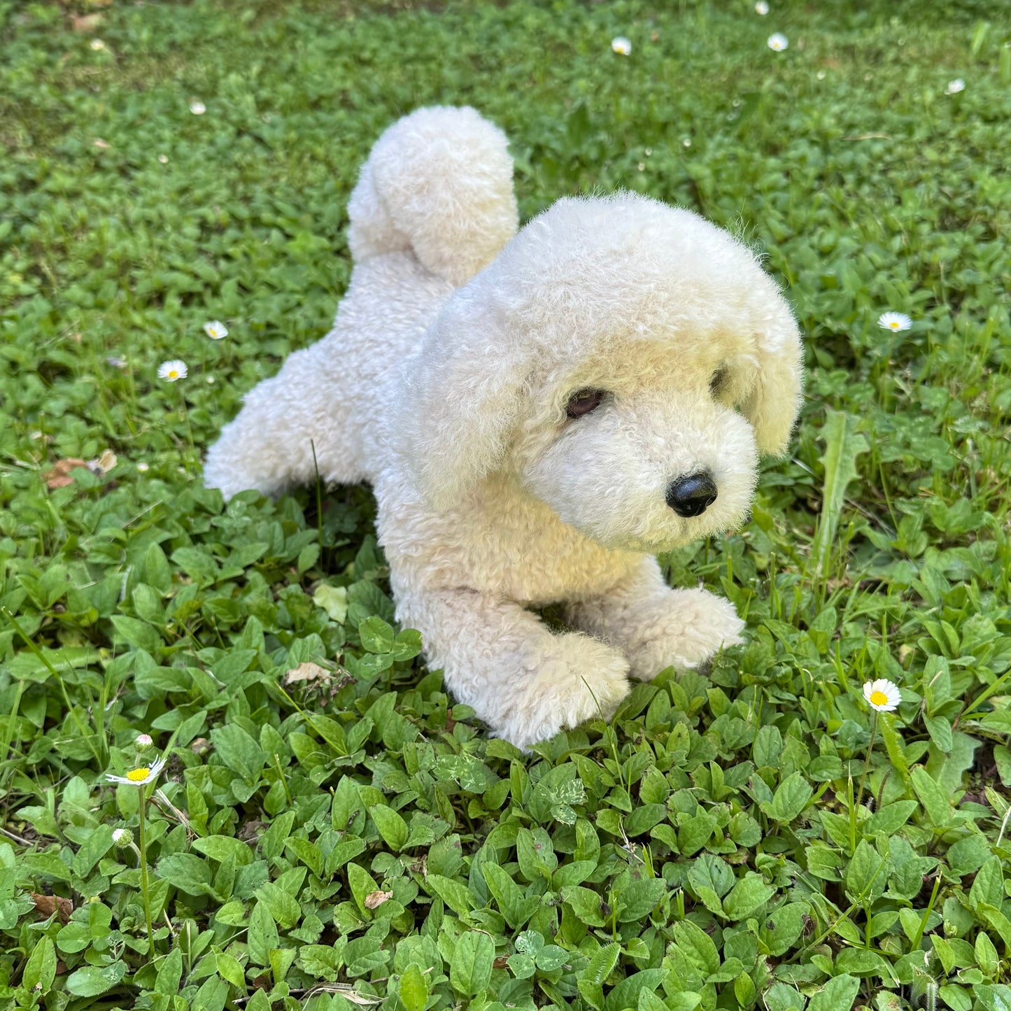 Caline, bichon frisé en peluche, aux détails minutieux et à la texture douce, un compagnon adorable et réaliste