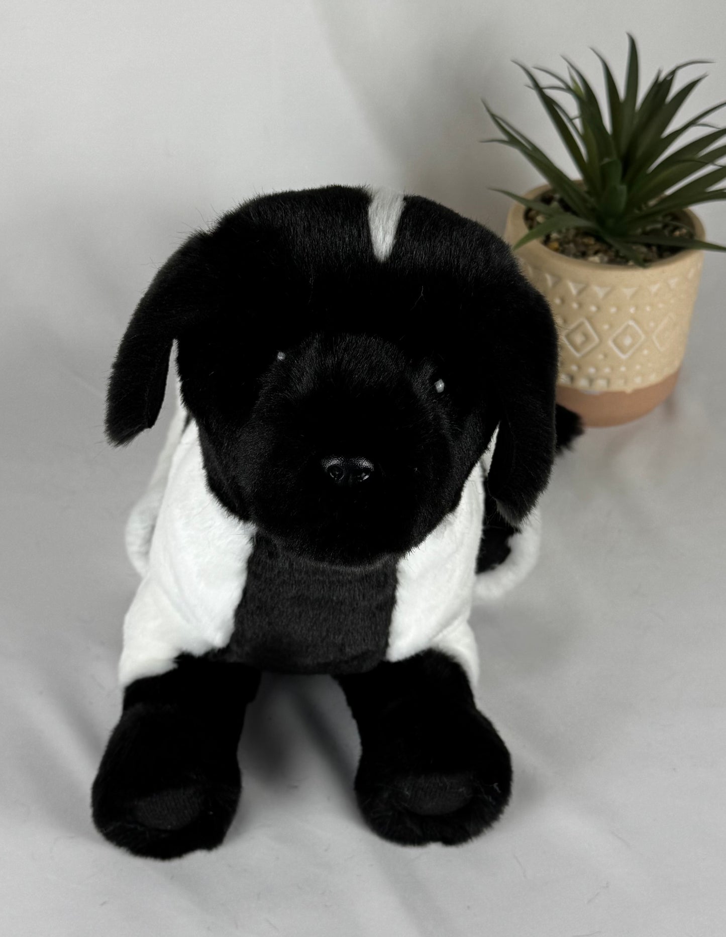 🐾 Bianca – Chiot Terre-Neuve Mismark Ultra Réaliste 🖤🤍 | Pièce Unique en Fausse Fourrure – 37 cm