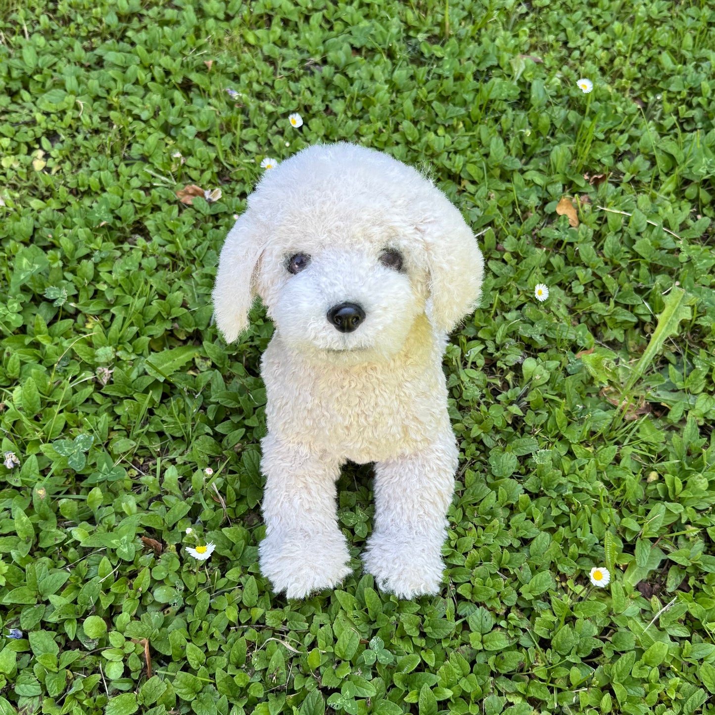 🐶 Caline – Peluche réaliste Bichon frisé articulée (30 cm x 37 cm) | Collection de luxe 🐾