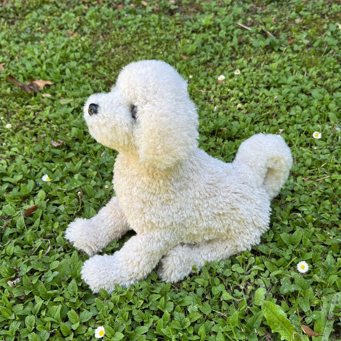 🐶 Caline – Peluche réaliste Bichon frisé articulée (30 cm x 37 cm) | Collection de luxe 🐾