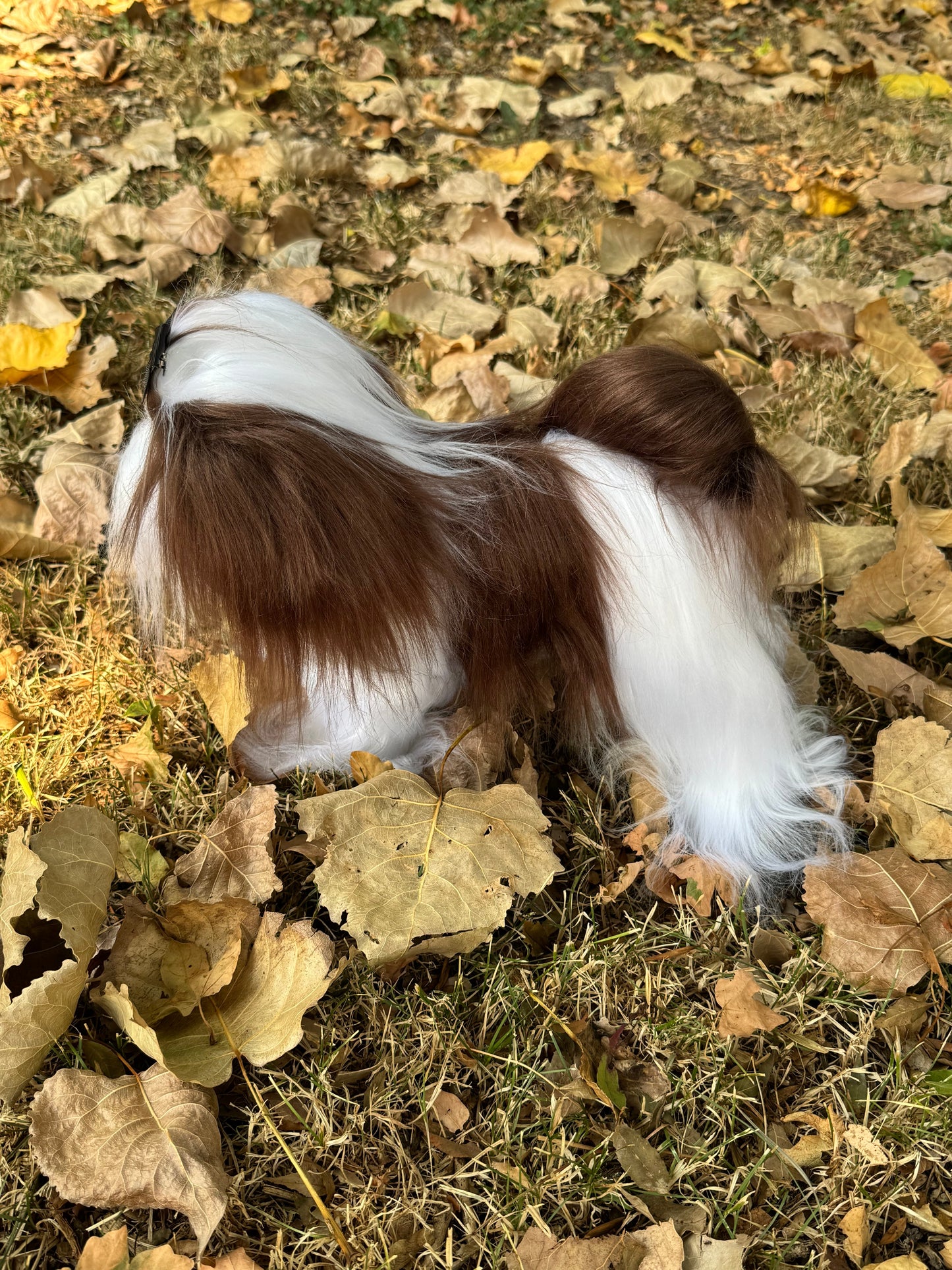 Chien Shih Tzu réaliste en fausse fourrure haut de gamme, pièce de collection signée avec certificat
