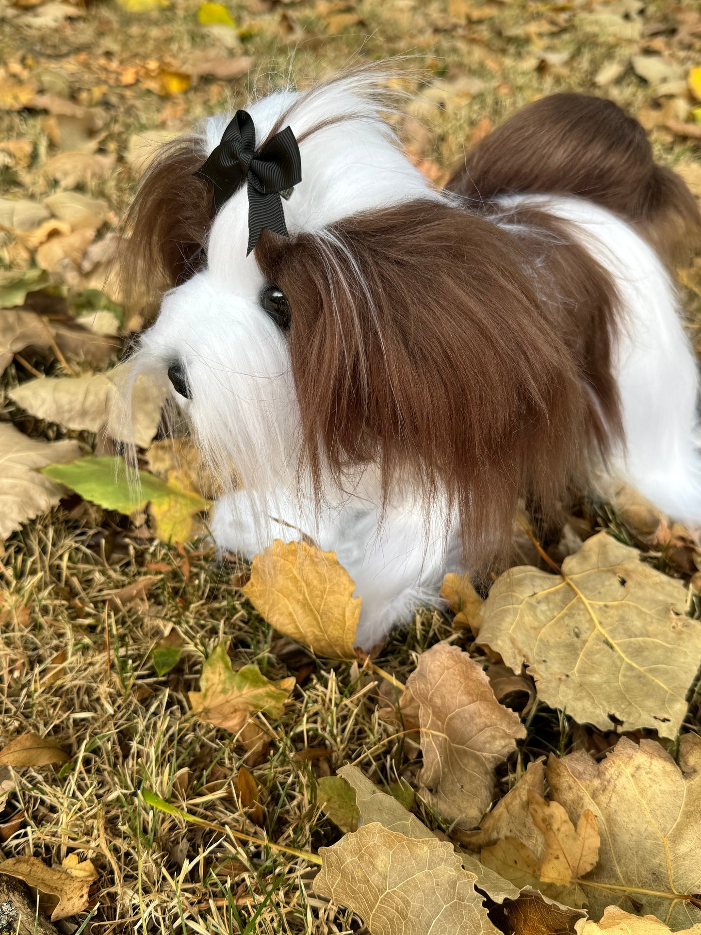 Création artisanale Melba, chien Shih Tzu réaliste de 30 cm x 36 cm, objet de collection raffiné