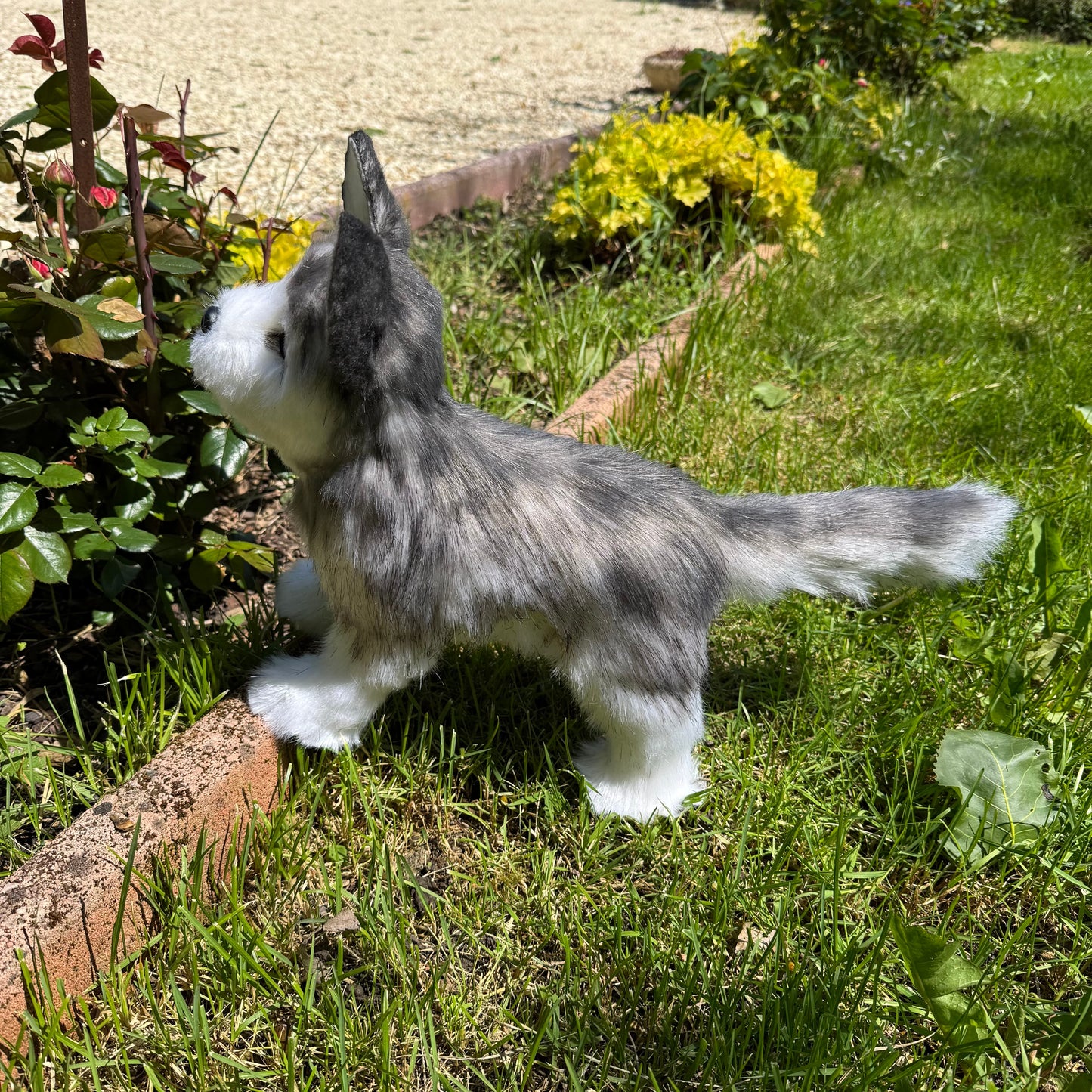 Numa – Chien réaliste articulé en peluche fait main, inspiration husky 35cm