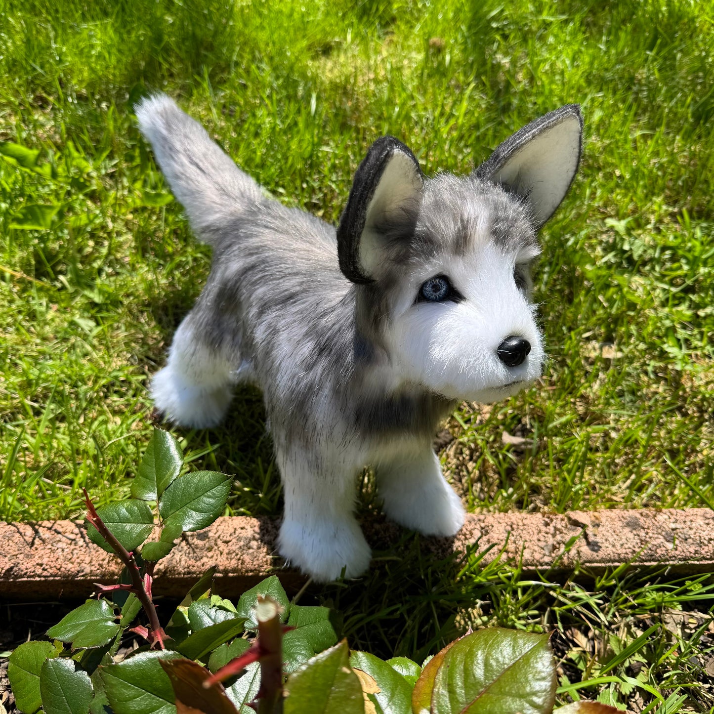 Numa – Chien réaliste articulé en peluche fait main, inspiration husky 35cm
