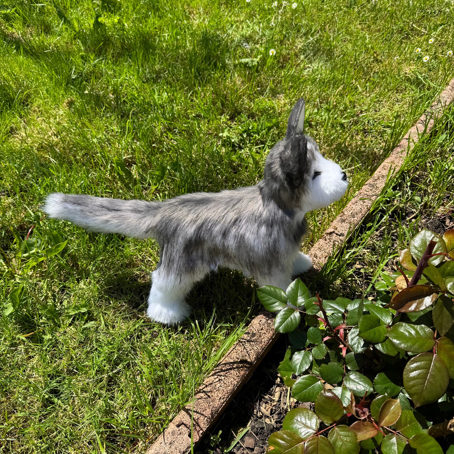 Numa – Chien réaliste articulé en peluche fait main, inspiration husky 35cm