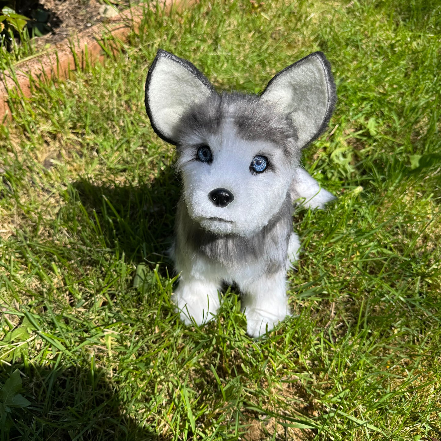 Numa – Chien réaliste articulé en peluche fait main, inspiration husky 35cm