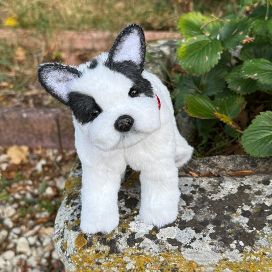 Oreo chien bouledogue français miniature en fausse fourrure blanche et noire