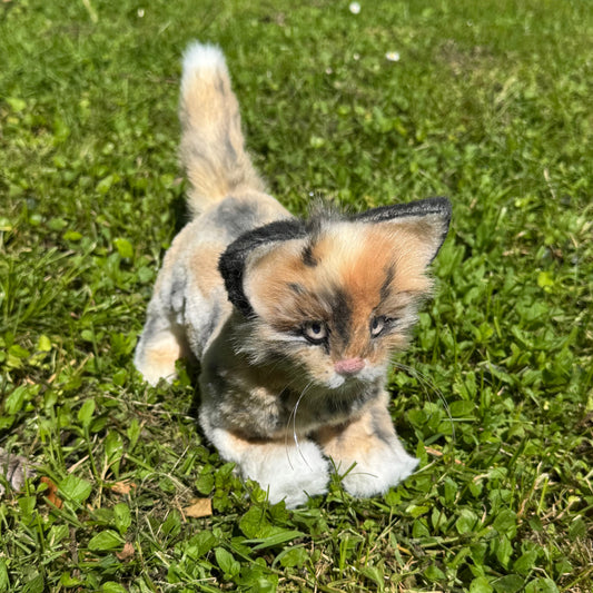 Chaton en peluche réaliste Calico cousu main, inspiration Maine Coon