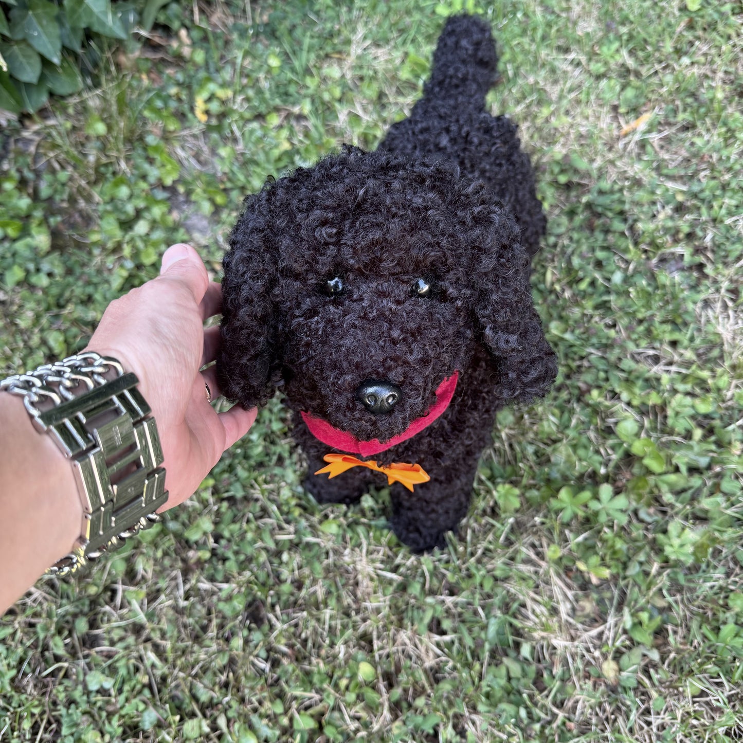 RESERVE 🐾 Réglisse – Caniche noir réaliste fait main (50 cm), yeux en verre, fausse fourrure, certificat, médaillon gravé