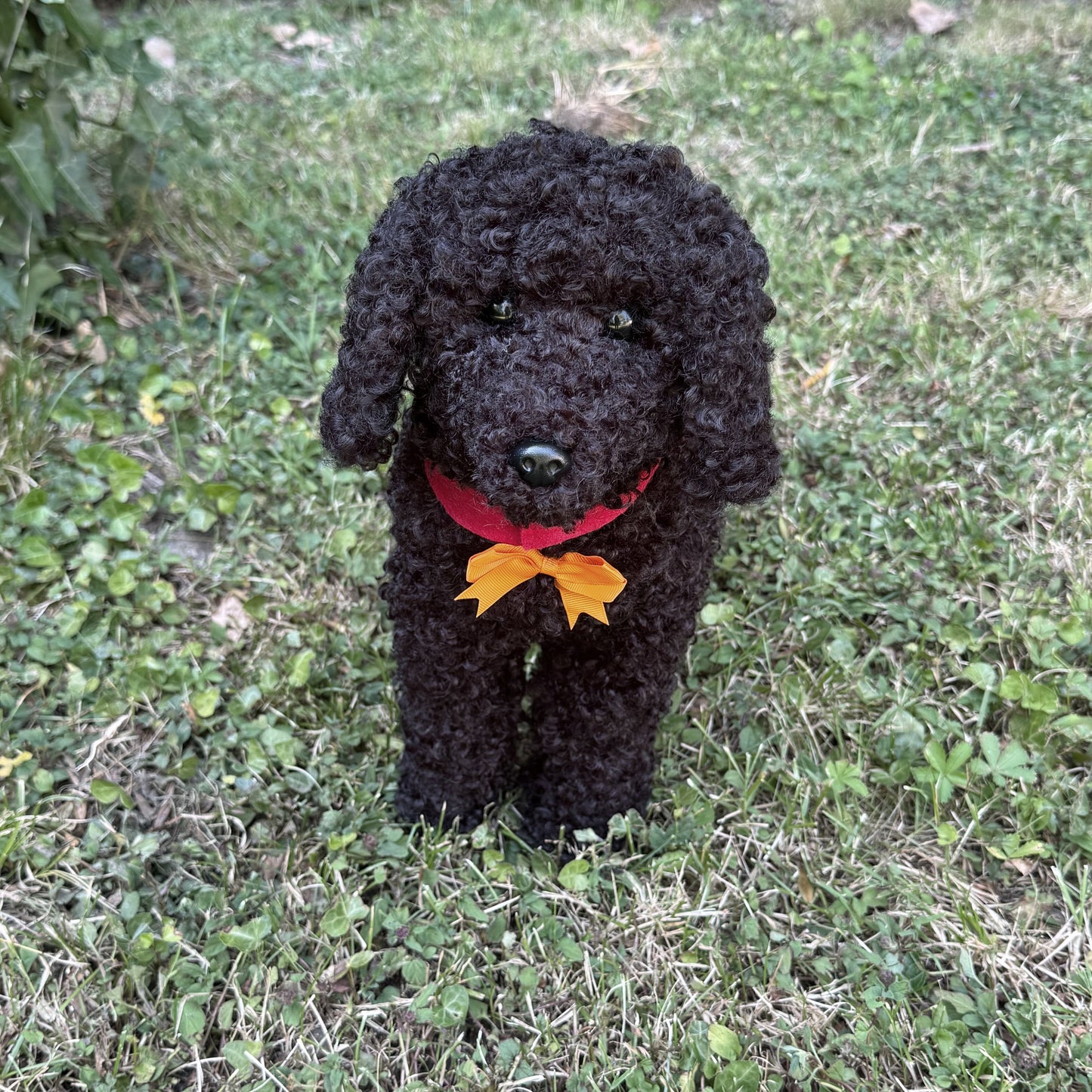 RESERVE 🐾 Réglisse – Caniche noir réaliste fait main (50 cm), yeux en verre, fausse fourrure, certificat, médaillon gravé