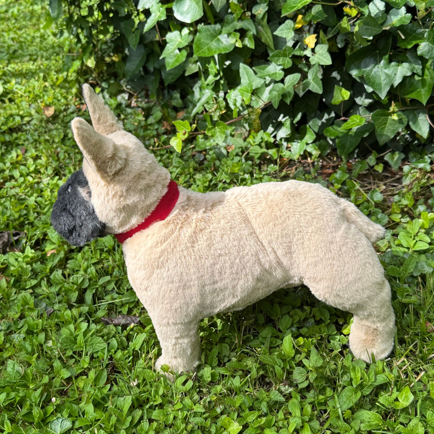 🐶 Bouledogue français réaliste articulé – Peluche d’art en fausse fourrure beige – "Rio"