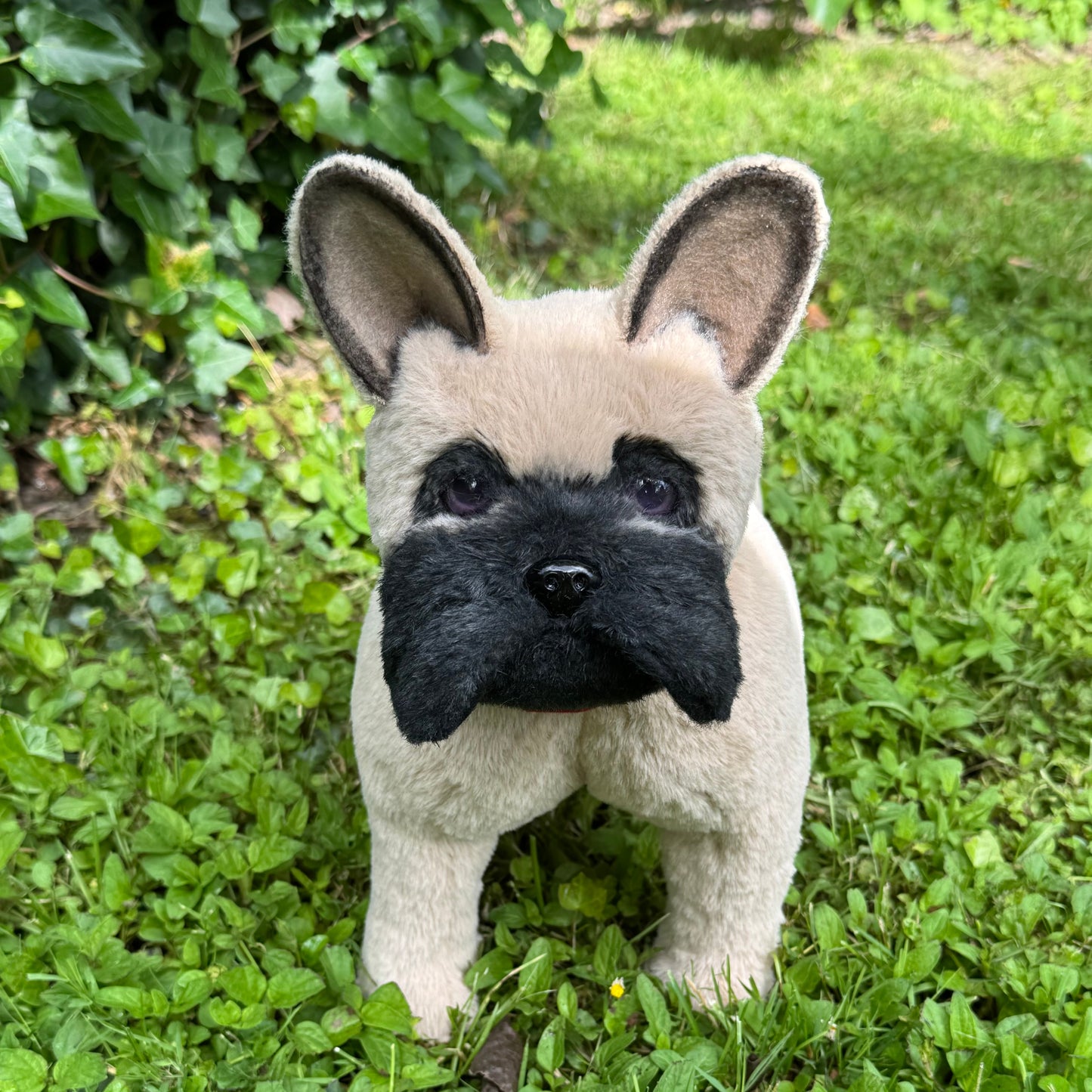 🐶 Bouledogue français réaliste articulé – Peluche d’art en fausse fourrure beige – "Rio"