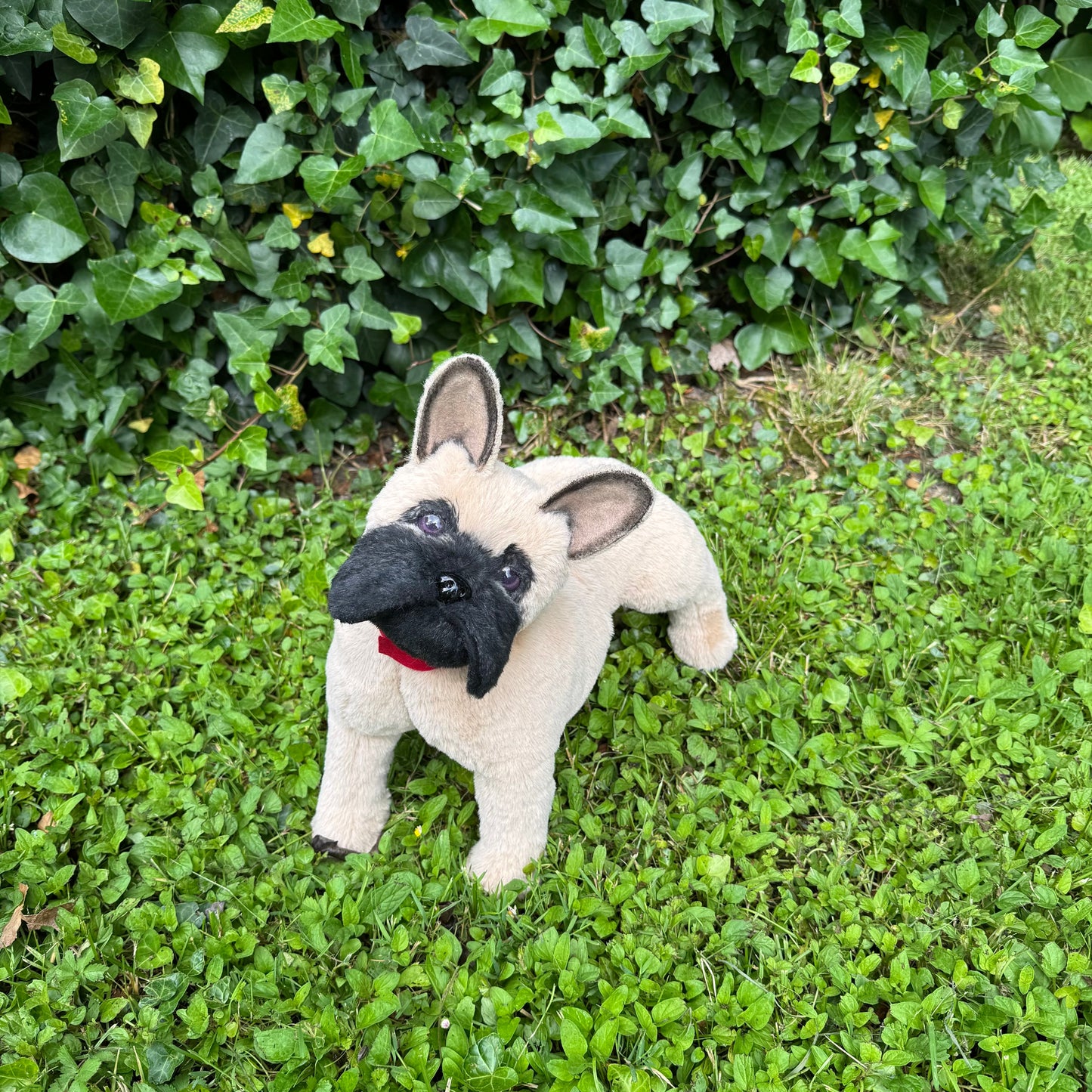 🐶 Bouledogue français réaliste articulé – Peluche d’art en fausse fourrure beige – "Rio"