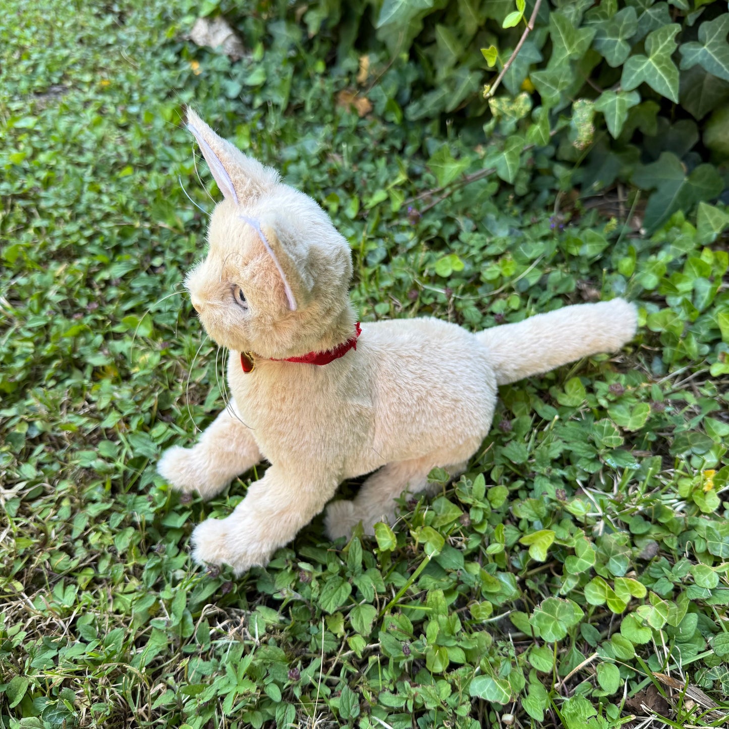 Nez beige en Fimo sculpté sur peluche réaliste