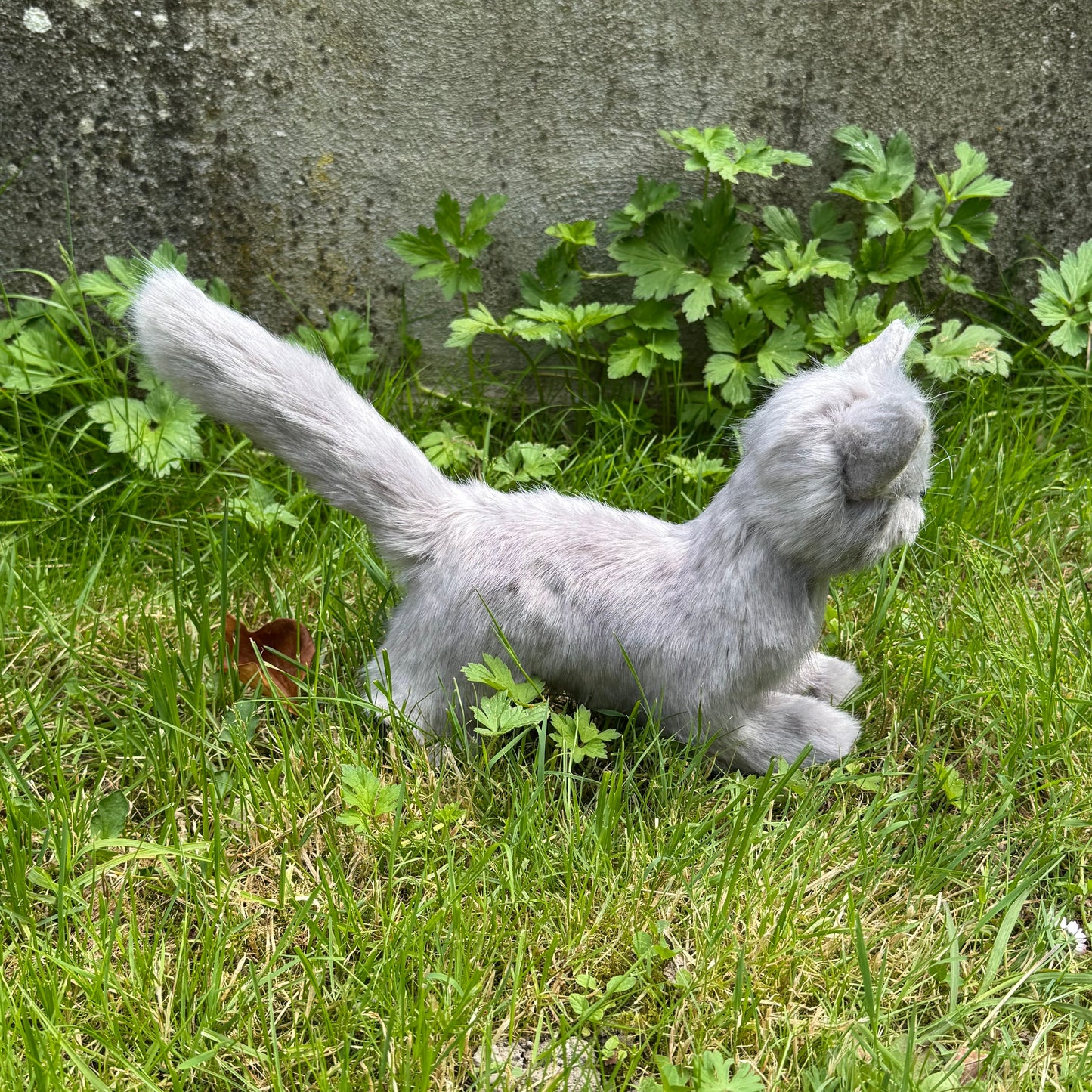 Silver chat réaliste articulé en fausse fourrure grise – Inspiré du Persan, création unique faite main (27 x 40 cm)