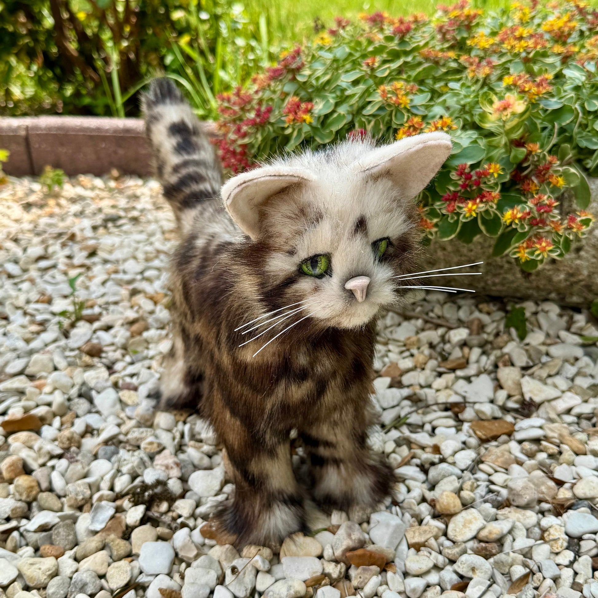 Topaze, chat Bengal en fausse fourrure léopard, regard vert intense