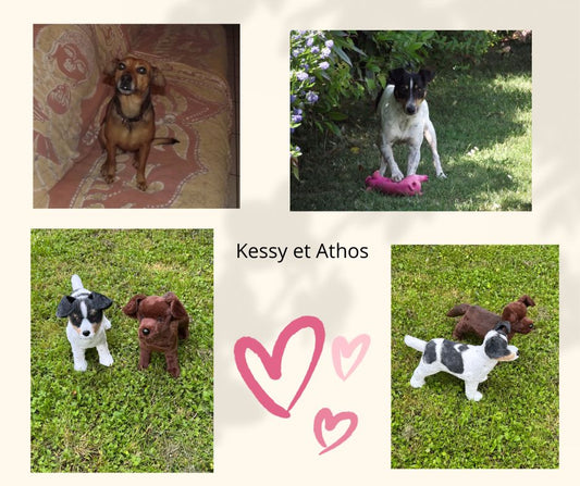🐾 Kessy et Athos : peluches réalistes sur mesure à partir de photos 📸
