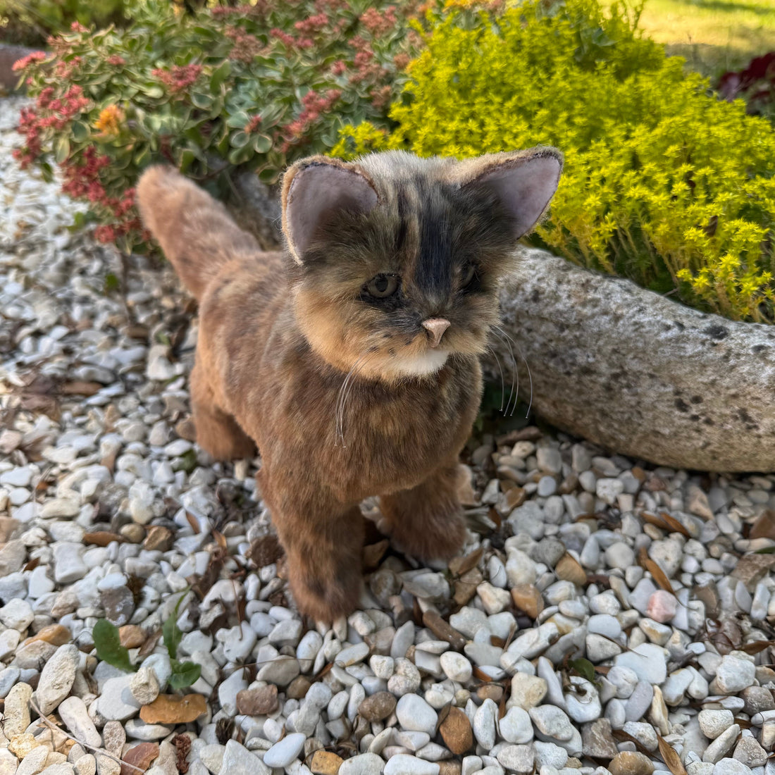 🐱 Poppy, chat réaliste teint à la main – Une création unique à découvrir