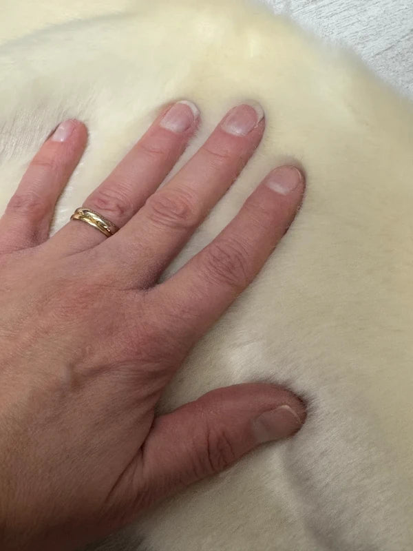 Coupon tissu fausse fourrure douce et épaisse blanc cassé beige à poils mi-longs 16cm x 152cm