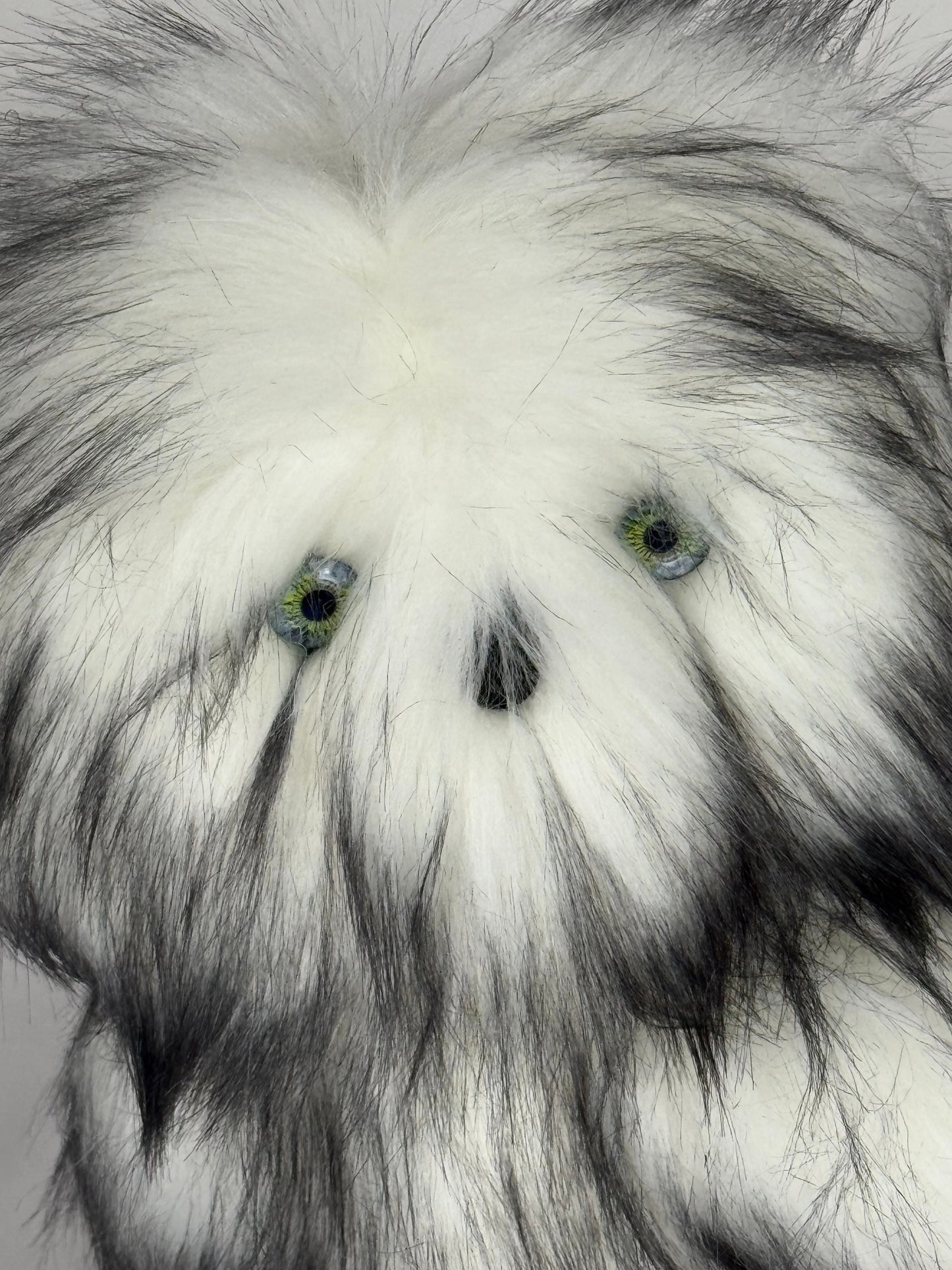 Chouette de collection Alaska 25 cm avec pelage noir et blanc et certificat d’authenticité