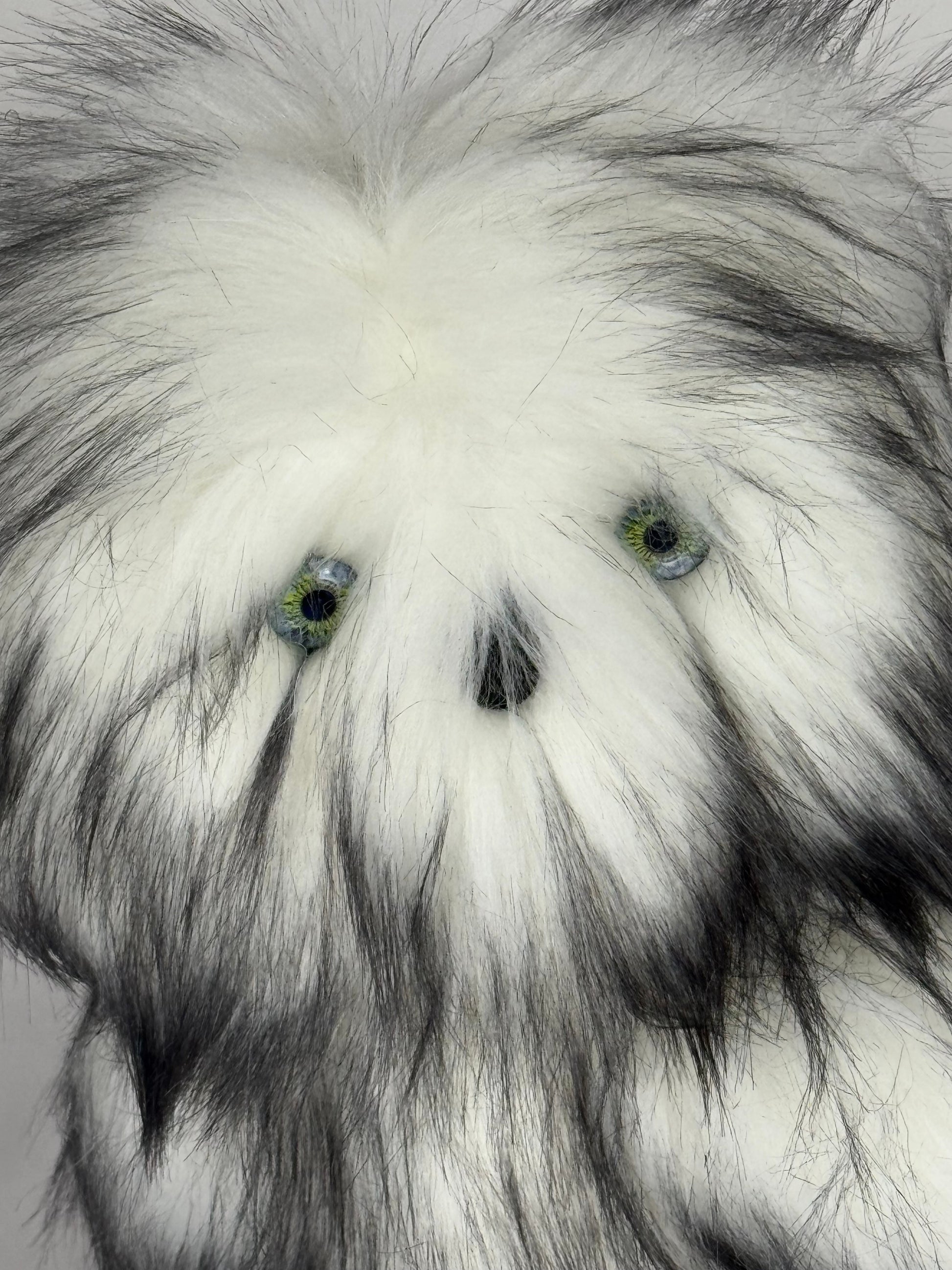 Chouette de collection Alaska 25 cm avec pelage noir et blanc et certificat d’authenticité