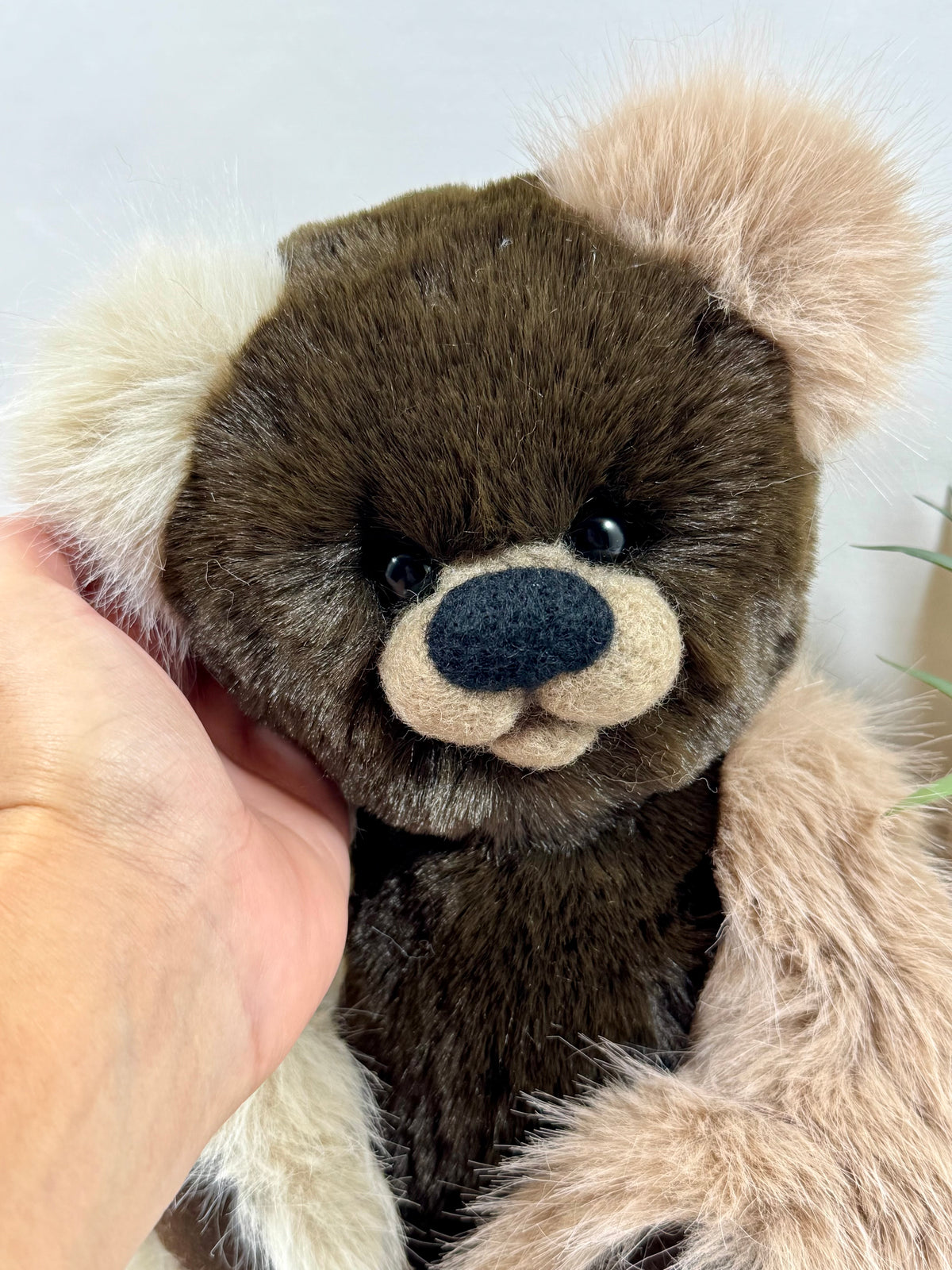 Gros plan sur le visage de Spéculos, ours artisanal de collection avec tête chocolat, museau clair et douce fausse fourrure.