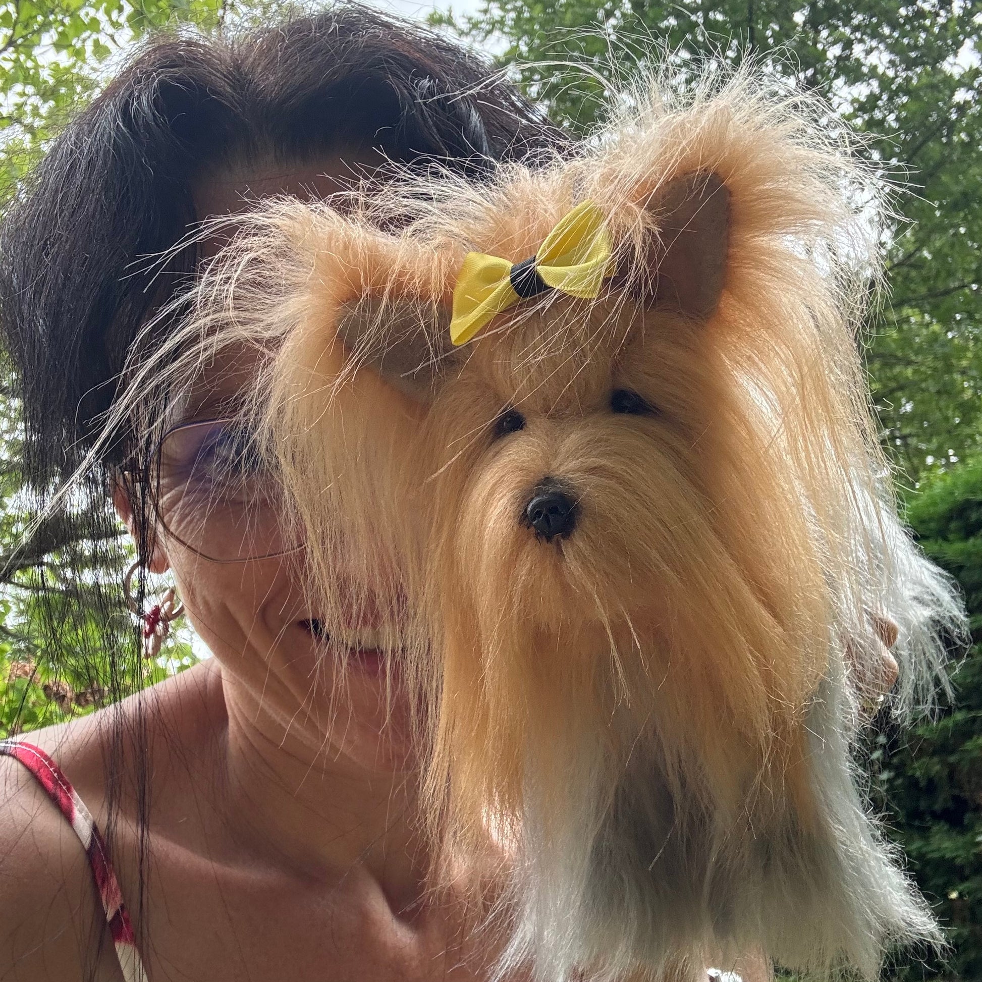 Chanel, peluche articulée Yorkshire avec certificat d’authenticité