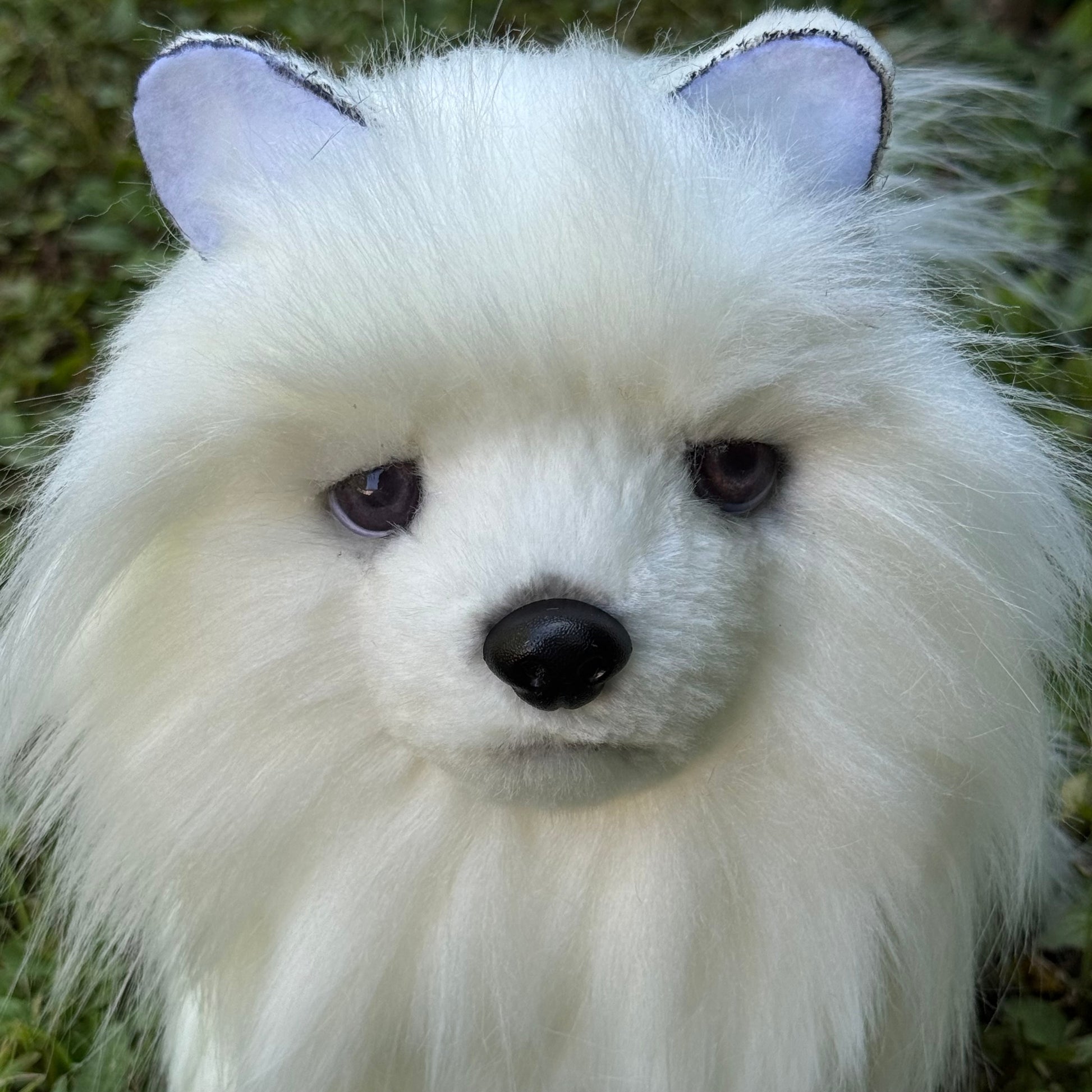 Peluche Poméranien blanc fait main avec yeux en verre marron