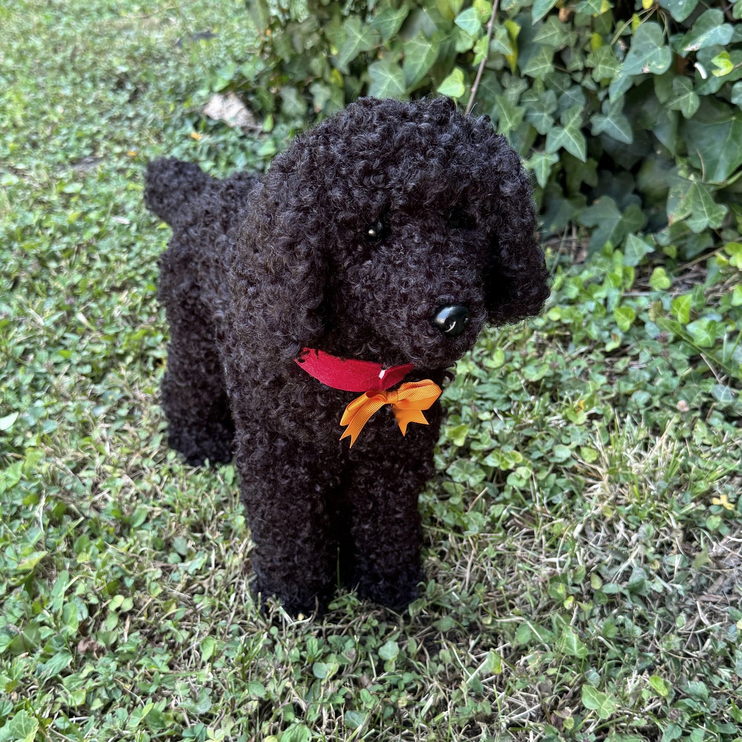 🐾 Réglisse – Caniche noir réaliste fait main (50 cm), yeux en verre, fausse fourrure, certificat, médaillon gravé
