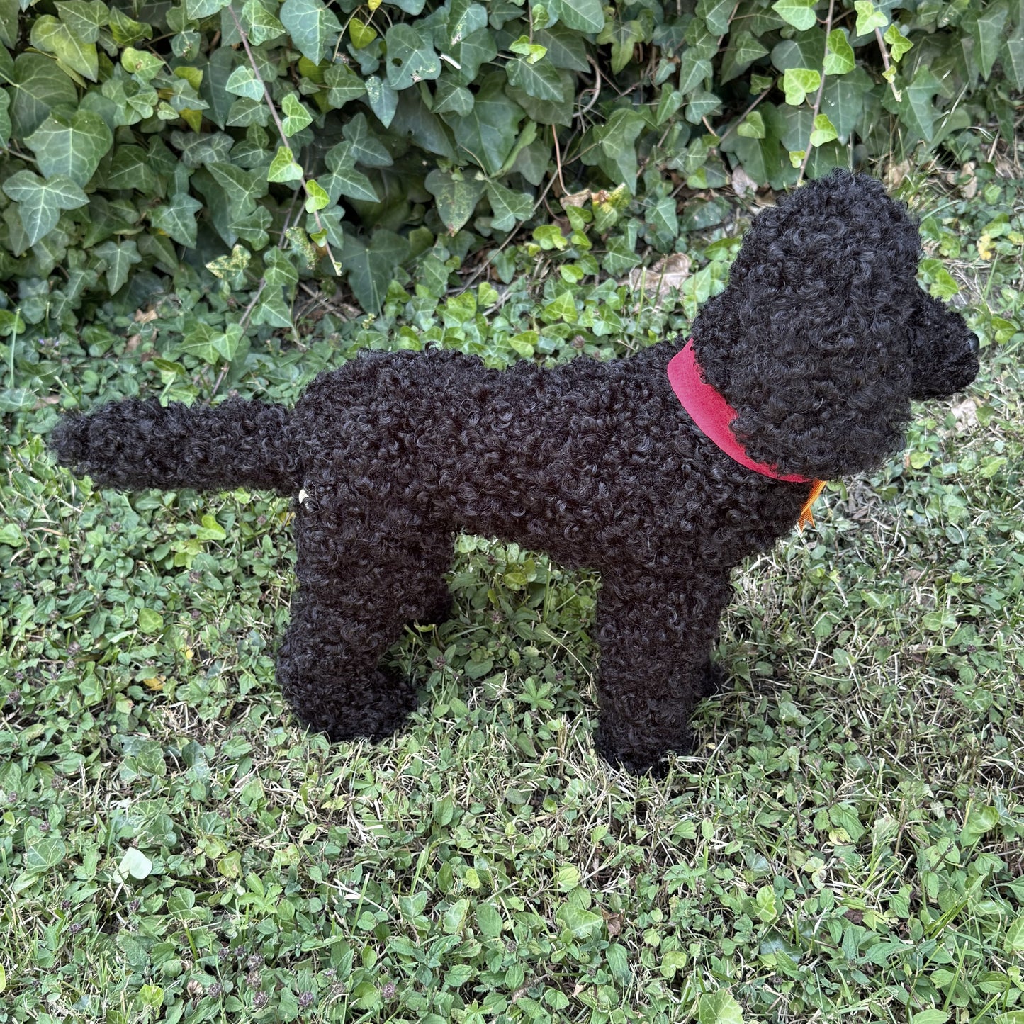 🐾 Réglisse – Caniche noir réaliste fait main (50 cm), yeux en verre, fausse fourrure, certificat, médaillon gravé